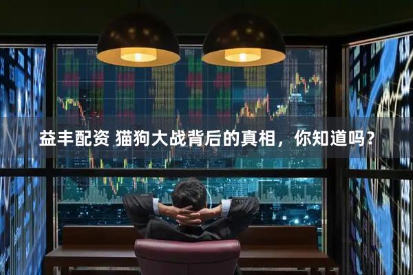 益丰配资 猫狗大战背后的真相，你知道吗？